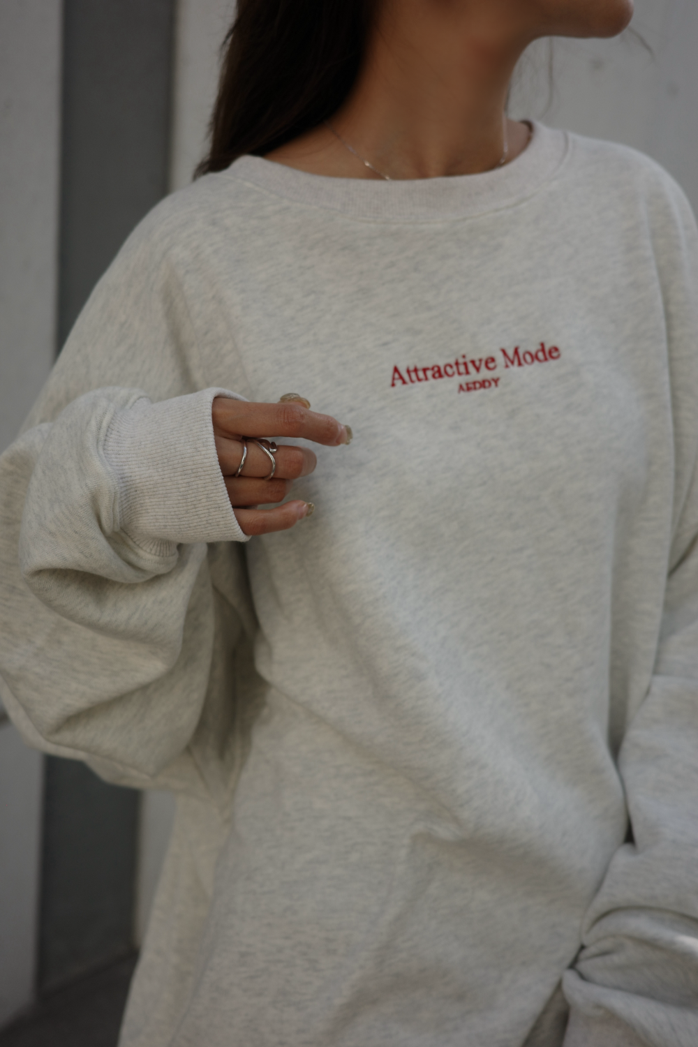 AEDDY 美品ユニセックス ロゴトレーナー AEDDY 美品ユニセックスロゴ AEDDY 美品ユニセックス ロゴトレーナー AEDDY 美品ユニセックスロゴ